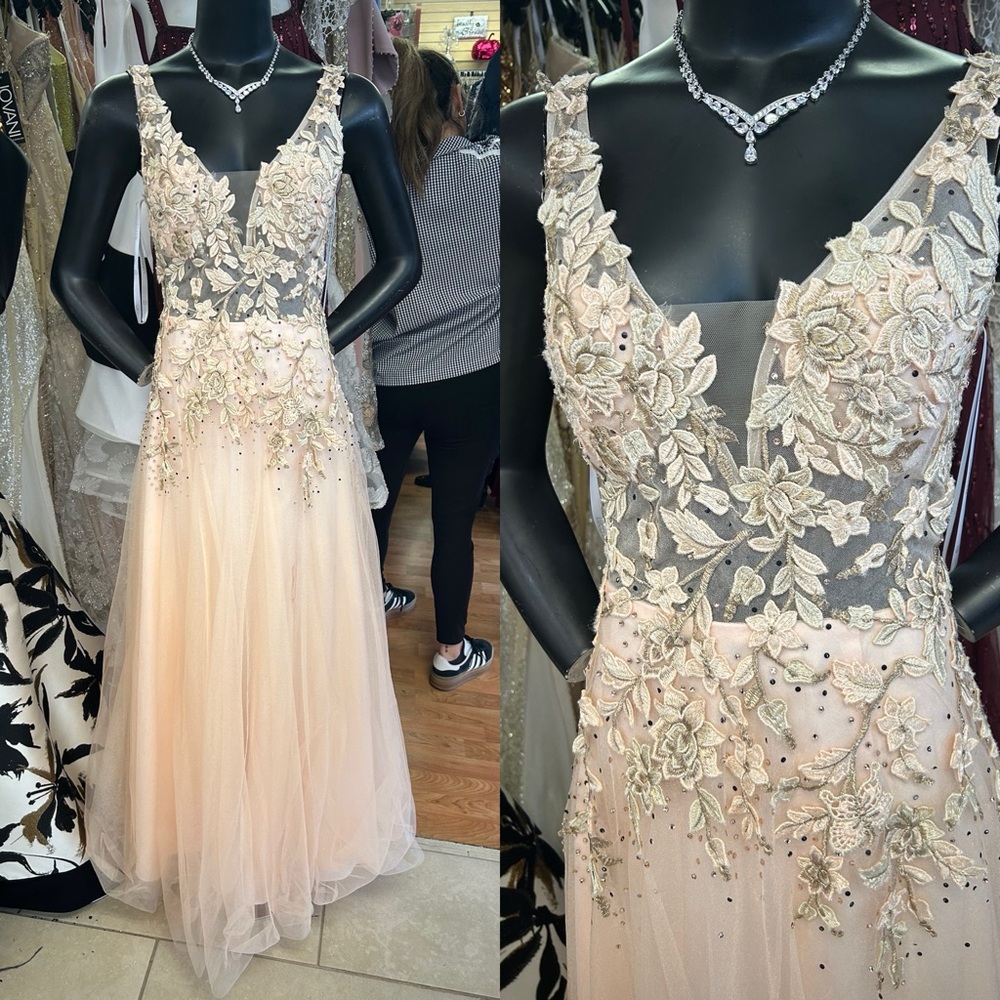 Elegant Blush Floral Embellished Gown size 6 tulle skirt